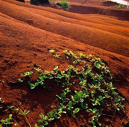 《怪物猎人物语2》7月2日举办售前直播 公开最新游戏情报