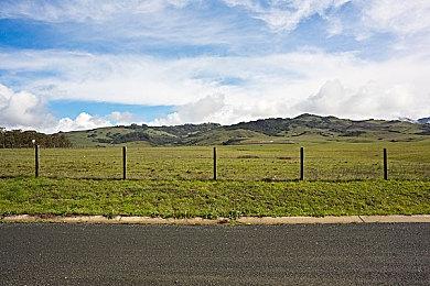 《女神异闻录5：TACTICA》首弹PV 11月17日登陆全平台